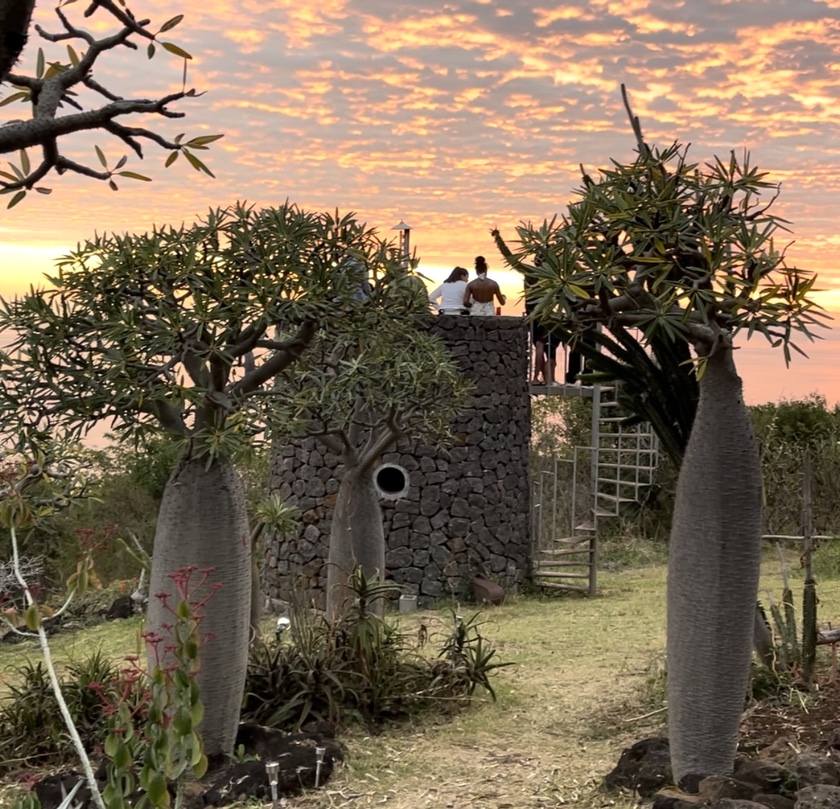 Kiosque du Jardin Naturel